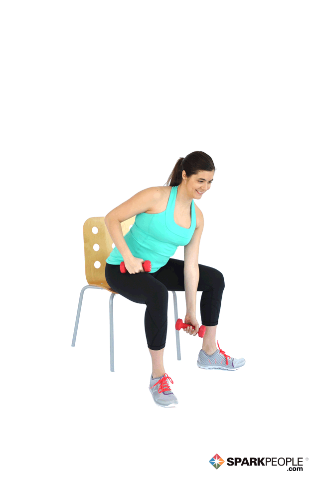  Seated Dumbbell Concentration Curls Exercise 